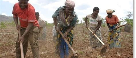 4 big burdens faced by Africa’s small farmers | World Economic Forum