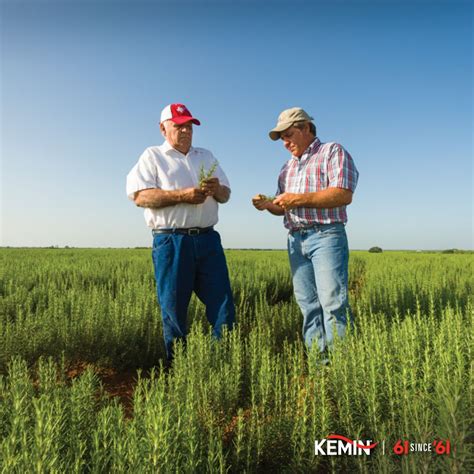 Kemin Crop Technologies on LinkedIn: #themoreyouknow #learning # ...