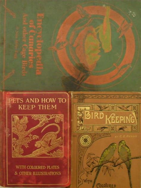 Ornithology; Lot of 3 books - 1889/1944 - Catawiki