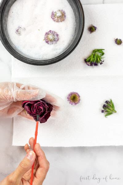 How to Use Silica Gel for Drying Flowers: Complete Guide