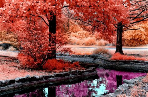 Pink Autumn Wallpapers - Top Free Pink Autumn Backgrounds - WallpaperAccess