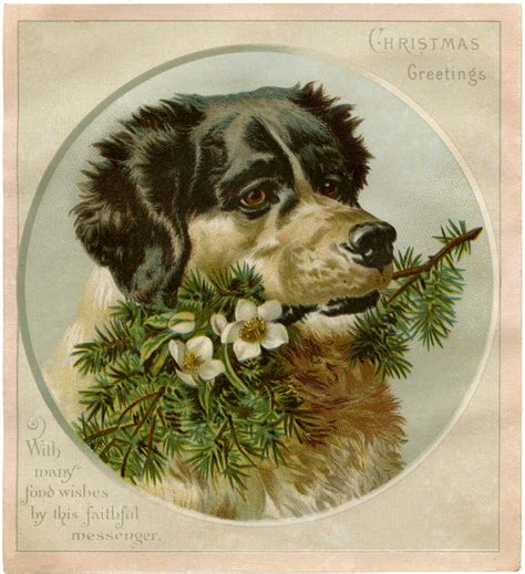 Vintage Christmas Dog Image! - The Graphics Fairy