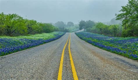 The Texas Hill Country offers numerous, breathtaking scenic drives. Check out a few of our ...