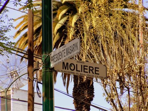 Mexico City Neighborhood Guide: Polanco - Eater