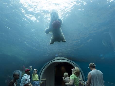 Pittsburgh Zoo & PPG Aquarium Announce Reopening Plans | Pittsburgh, PA ...