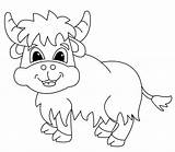 Yak Coloring Pages Printable For Free Download sketch template