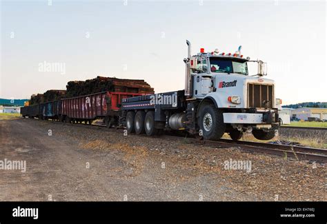 Brandt Road Railer locomotive unit operating on Canadian Pacific ...