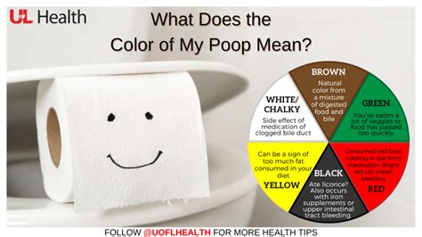 why is my poop green stool colors explained - poop color chart | poop color chart blue - Amara ...