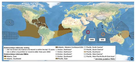 Growing Evidence of Connectivity between Hawksbill Turtle Habitats ...