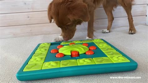 MultiPuzzle, a Dog Puzzle Game by Nina Ottosson - YouTube