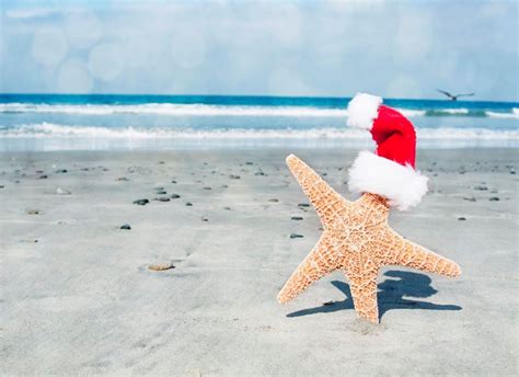 Beach Christmas Photo Cards | Beach christmas, Beach christmas card, Beach christmas card photo