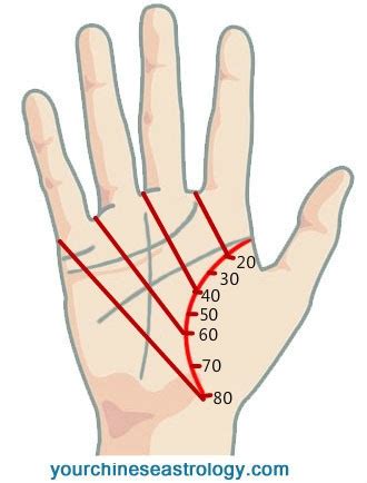 Life Line Palm Reading Guide, Life Line in Chinese Palmistry