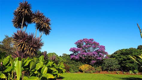 Centennial Park, Sydney, Sydney - Book Tickets & Tours | GetYourGuide