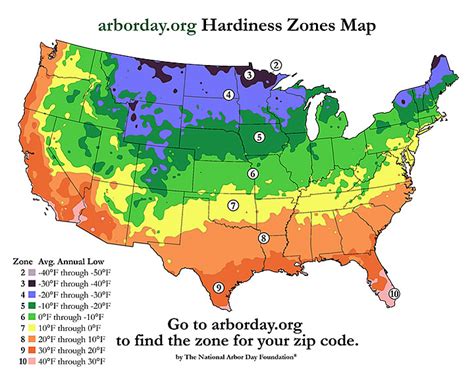 United States Hardiness Map Zones