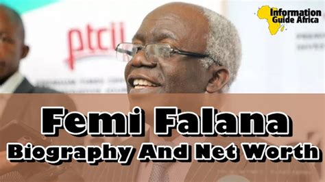 Femi Falana Biography, Age, Early Life, Family, Education, Career, Net Worth And More ...