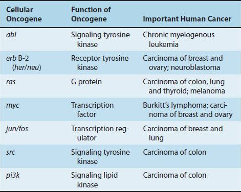 Tumor Viruses | Basicmedical Key