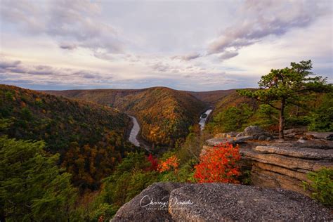 6 Essential Shooting Tips for Fall Photography