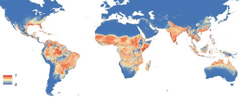 ¿Qué sabemos del Aedes aegypti? – Blog del repositorio institucional de la UNLP – SEDICI