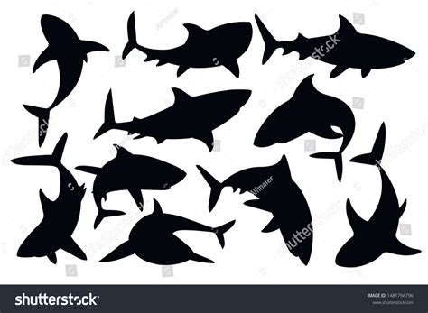 35,229 Shark Silhouette Images, Stock Photos, 3D objects, & Vectors | Shutterstock