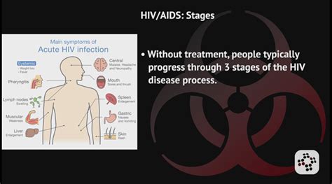 Hiv Infection Stages