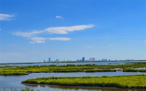 Tidal Marsh Restoration could be a Powerful Tool to Fight Global ...