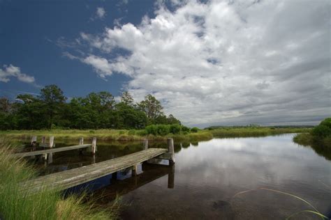 Pluff Mud Perspectives: A Visit to Bear Island Wildlife Management Area ...