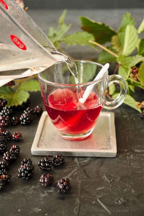 Blackberry tea recipe: 4 ways to make. - SimplyBeyondHerbs