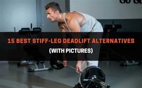 15 Best Stiff-Leg Deadlift Alternatives (With Pictures ...