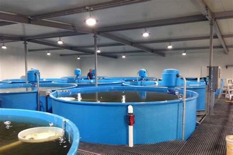 RAS - Recirculating Aquaculture Systems - Fresh by Design