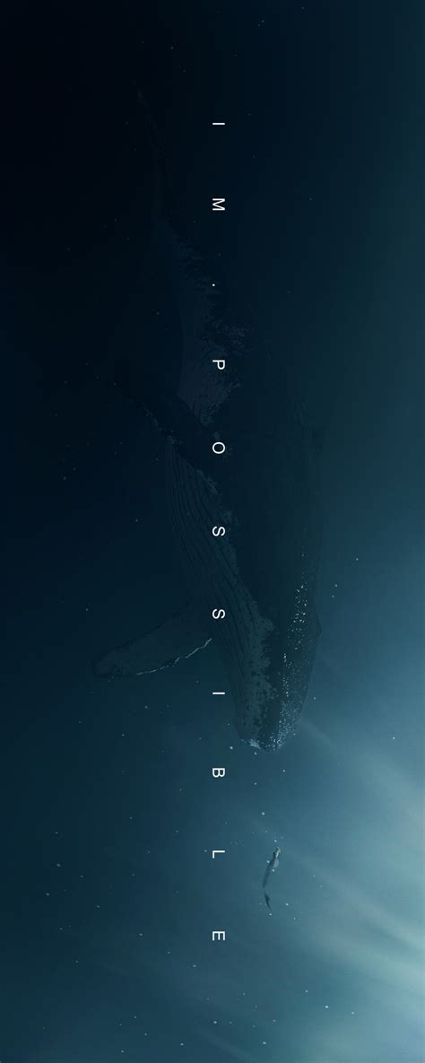 Whale on Behance