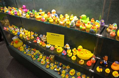 Rubber Ducks collection | Please Touch Museum in Memorial Ha… | Flickr