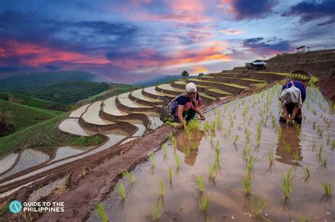 Banaue Travel Guide: Home of Rice Terraces in the Philippines | Guide to the Philippines