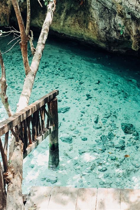 Gran Cenote, Tulum, Quintana Roo, Mexico - MELODY SCHMIDT | Tulum travel, Mexico travel, Cenotes