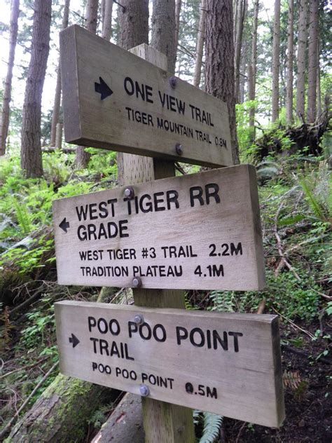 PacificNWCompanion: Poo Poo Point Trail (w/Adventure Trail option) Tiger Mountain June 11, 2011