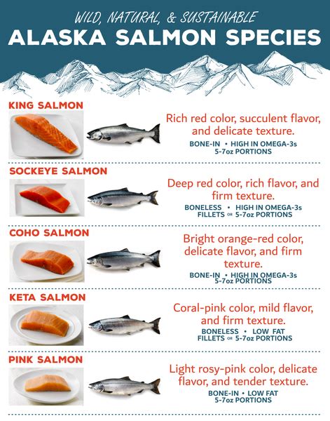 The Five Wild Alaskan Salmon Species - Chia Sẻ Kiến Thức Điện Máy Việt Nam