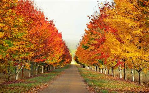 Best Places To Visit In Australia in Autumn | Autumn Holiday Guide