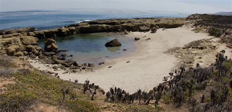 Island Conservation San Nicolas Island, California - Island Conservation