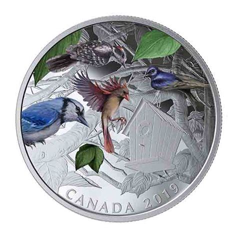 2019 $30 Fine Silver Coin - Birds in the Backyard [173230] | Silvergold Express