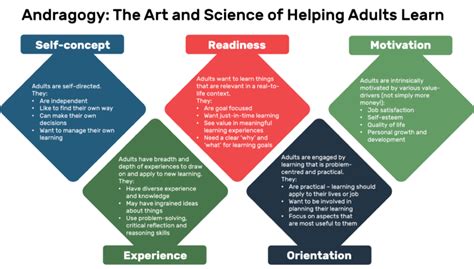 Andragogy: Adult Learning Theory - Instructional Design Australia