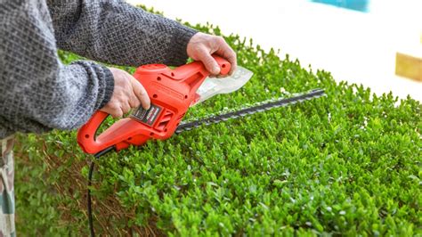 The Art of Hedge Maintenance: When to Trim and Prune Your Hedges - The ...