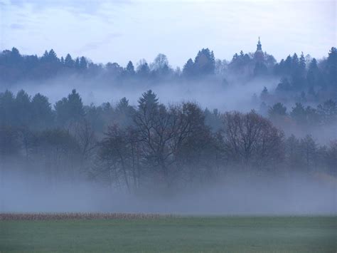 Free foggy day Stock Photo - FreeImages.com