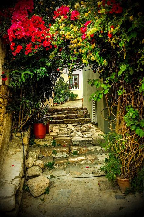 Plaka district in Athens, Greece, … – License image – 71204357 lookphotos