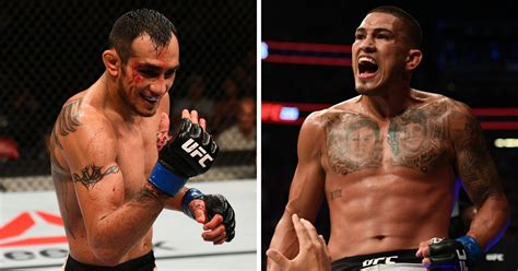 Tony Ferguson Vs. Anthony Pettis Added To UFC 229