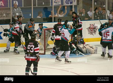 Belfast Giants celebrating their third goal with Cardiff Devils players protesting that the net ...