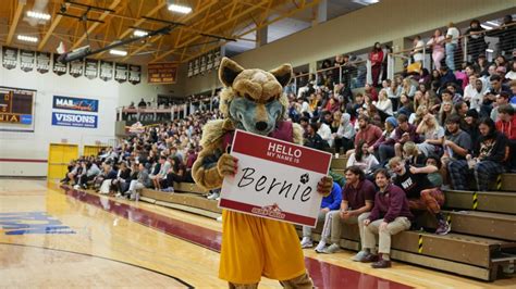 Alvernia University Reveals New Mascot Name During Maroon and Gold ...