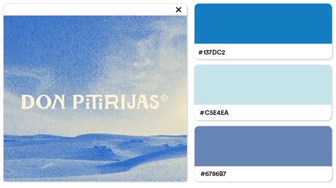 Top 6 Color Trends of 2024 + Color Inspiration | Looka