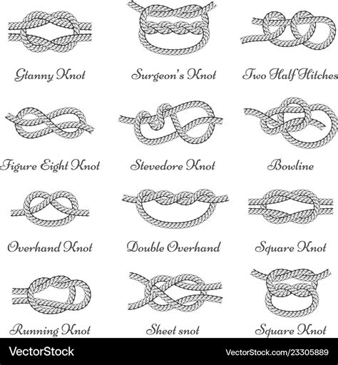 Nautical decorative rope knots set with names Vector Image