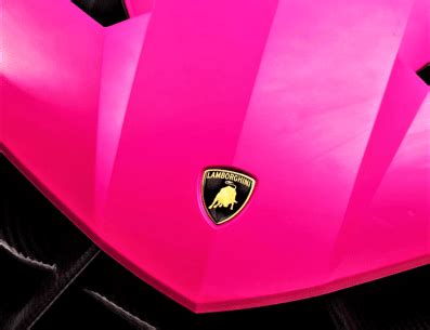 Why is there a bull in the iconic Lamborghini logo? | TORK Car News