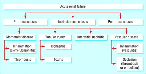 Acute renal failure | The BMJ