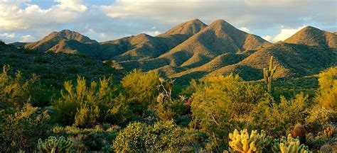 Scottsdale Weather | Official Travel Site for Scottsdale, Arizona ...